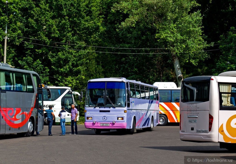 Узбекистан открывает новый автобусный маршрут Ташкент — Пермь