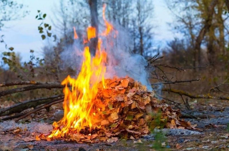 Не сжигайте опавшие листья! Иначе штраф