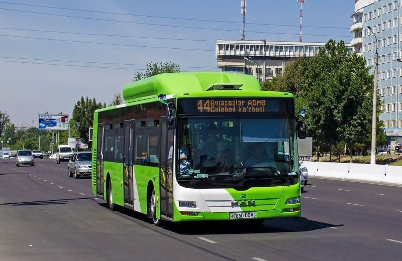 Сегодня в Ташкенте “День без автомобиля”. Будет ли больше пешеходов и велосипедов?