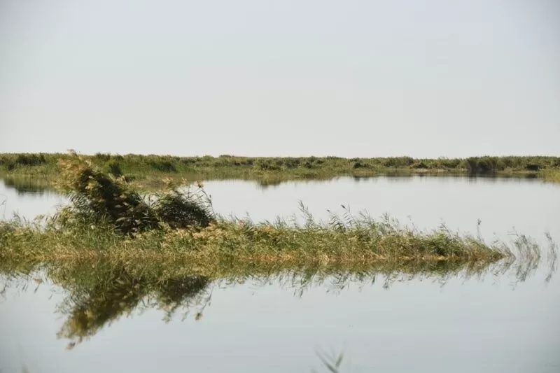 Еще одно озеро Узбекистана стало водно-болотным угодьем международного значения