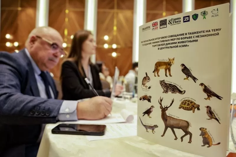Страны Центральной Азии борются с незаконной торговлей дикими животными. Обсуждения в Ташкенте